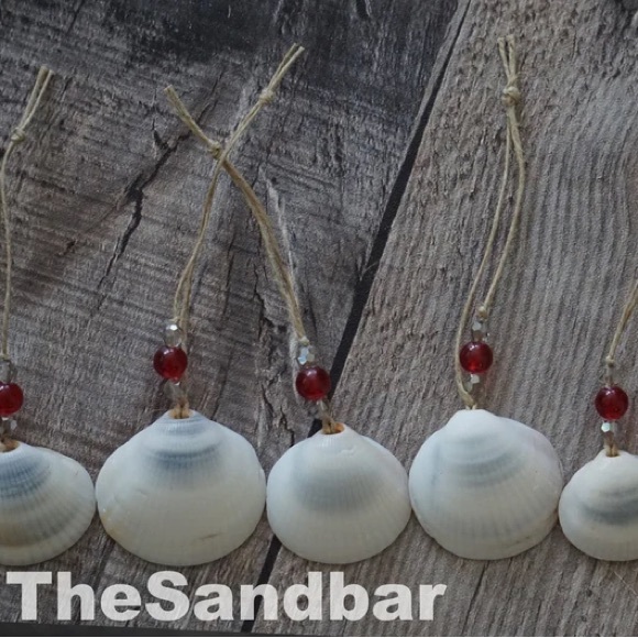 Seashell Ornaments Gift Set of 10 Beaded Shell Beach House Decor TheSandbar - Picture 3 of 4